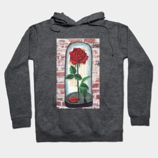 Rose in Glass Vessel Hoodie